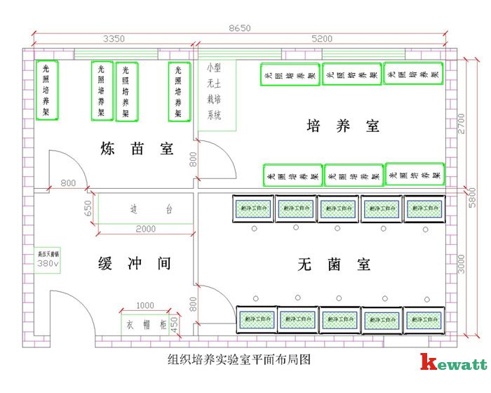 植物細胞實(shí)驗室平面設計圖