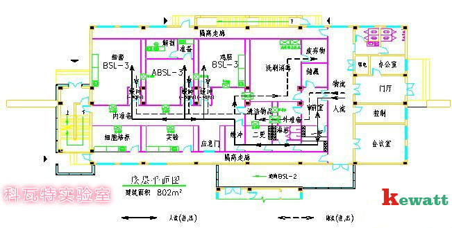 P3生物安全實(shí)驗室設計圖