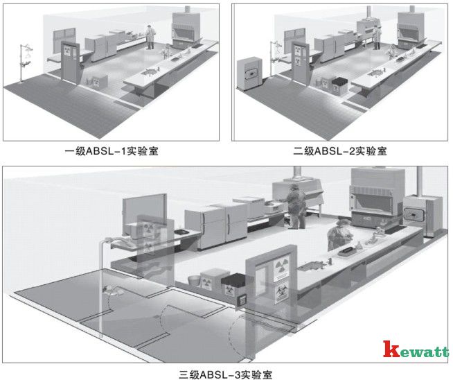 不同微生物實(shí)驗室的3D立體圖