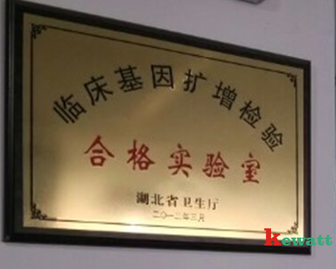 臨床基因擴增實(shí)驗室認證資質(zhì)